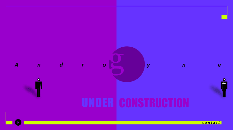 Androgyne